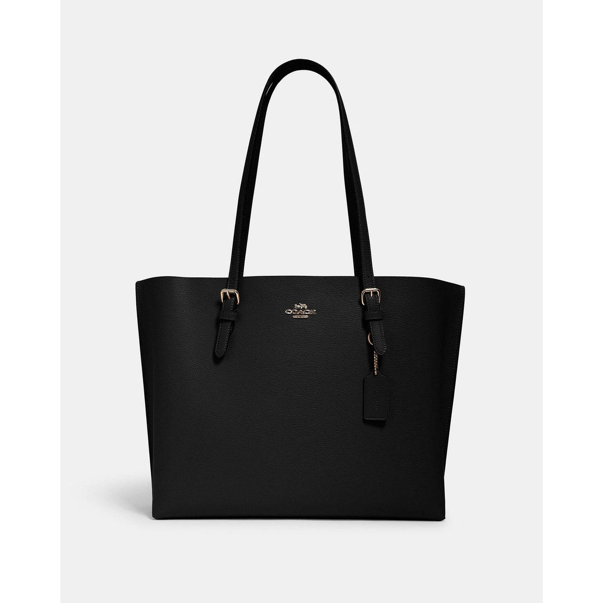 COACH Mollie Tote Bag 34