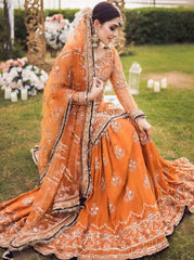 Ansab Jahangir 02 - 3 Piece Net Embroidered Dress with Net Dupatta
