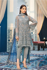 Gulaal 04 - 3 Piece Net Dress Dress with Net Embroidered Dupatta