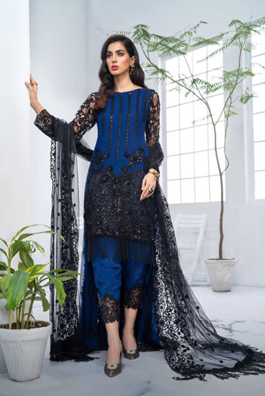Akbar Aslam 03 - 3 Piece Net Dress with Net Dupatta